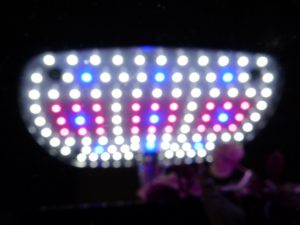 harvest led grow light