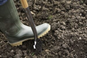 digging in garden