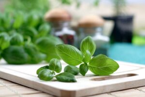 herbs for cooking on a board