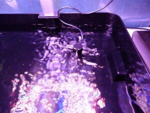 pump circulating the water