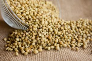 seeds spilling ouyt of a bowl