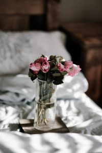 wilted roses in water